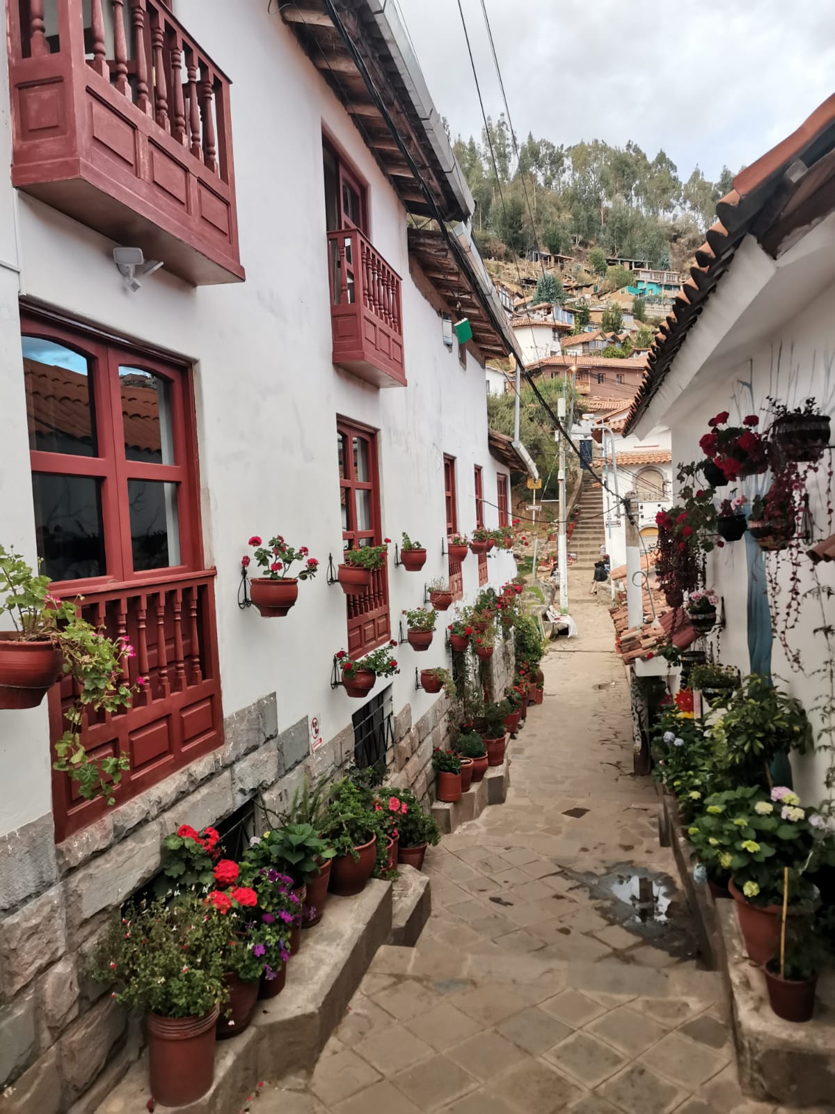 Houses on a narrow Cusco street