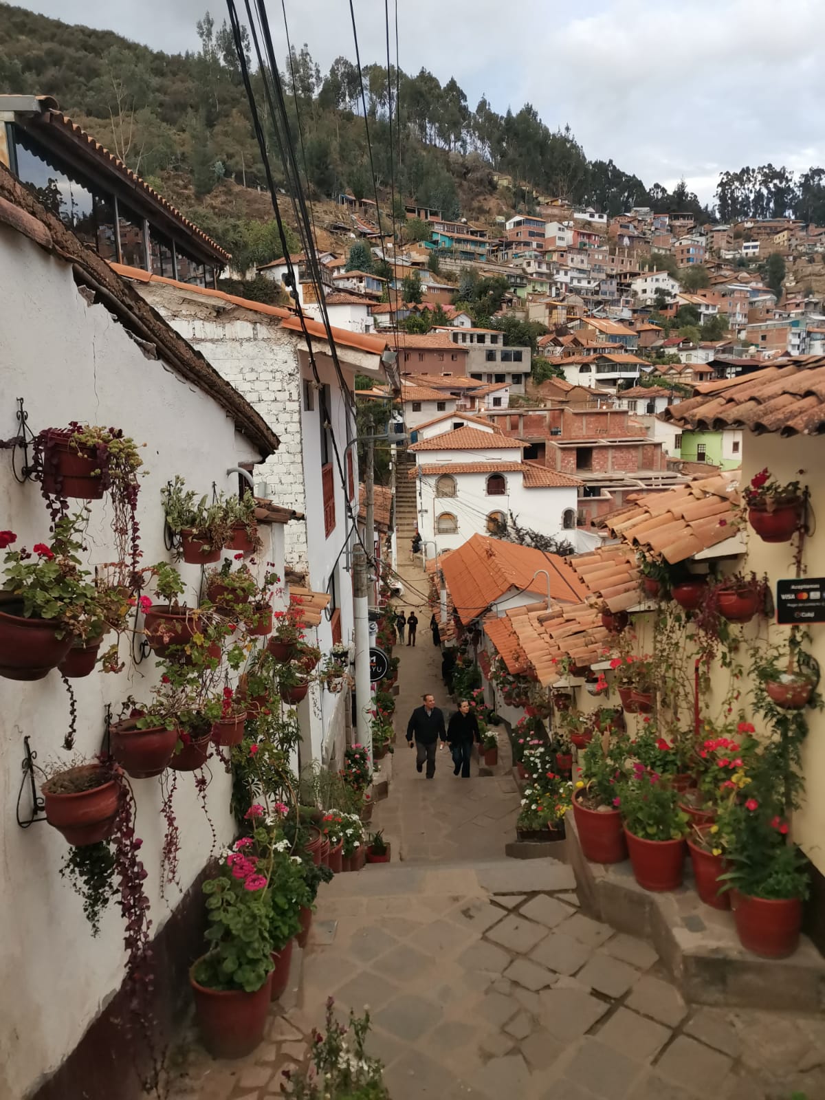 Flower pots decorating the streets of Cusco