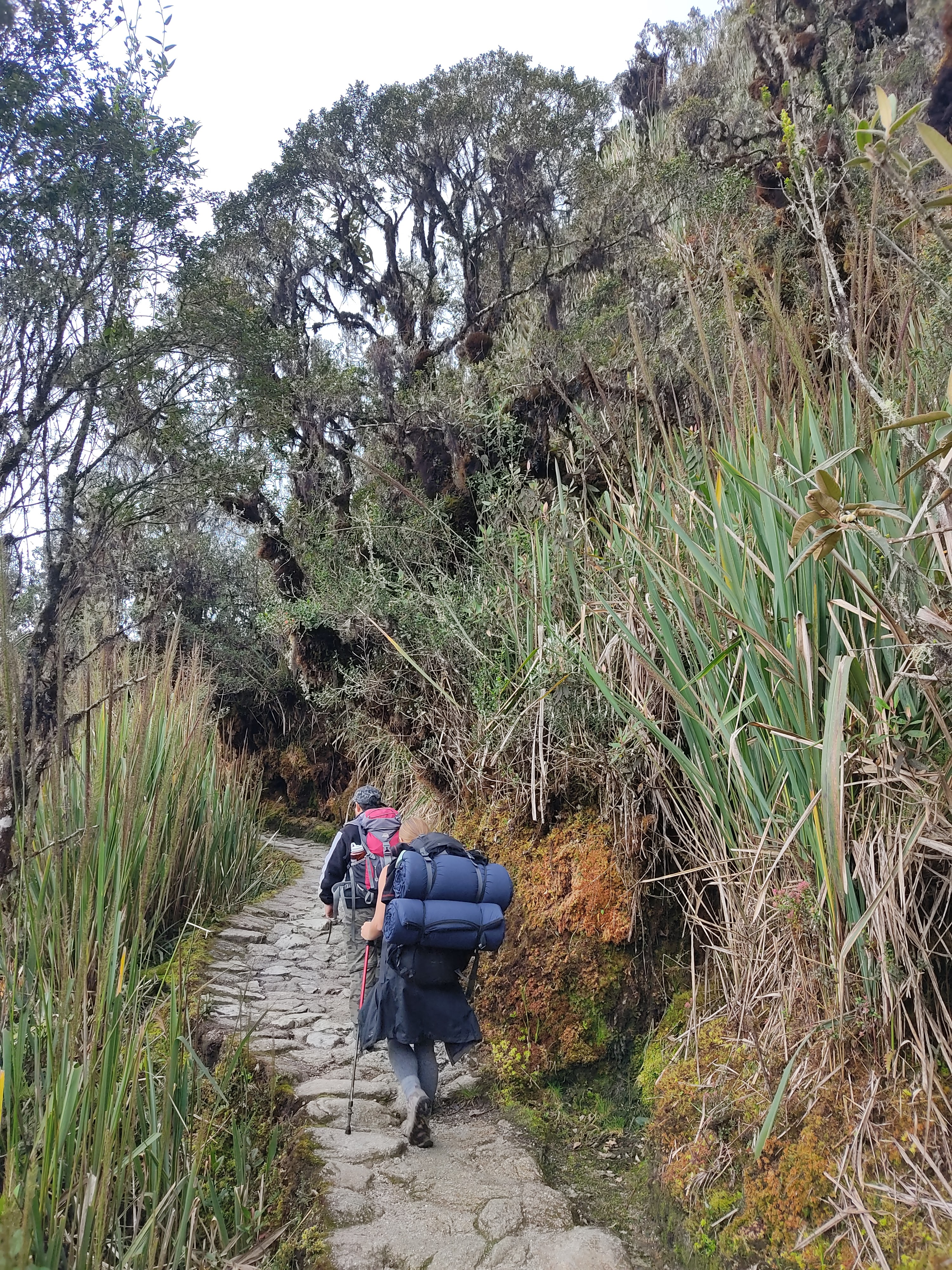 Hiking the narrow Inca trail with a large backpack