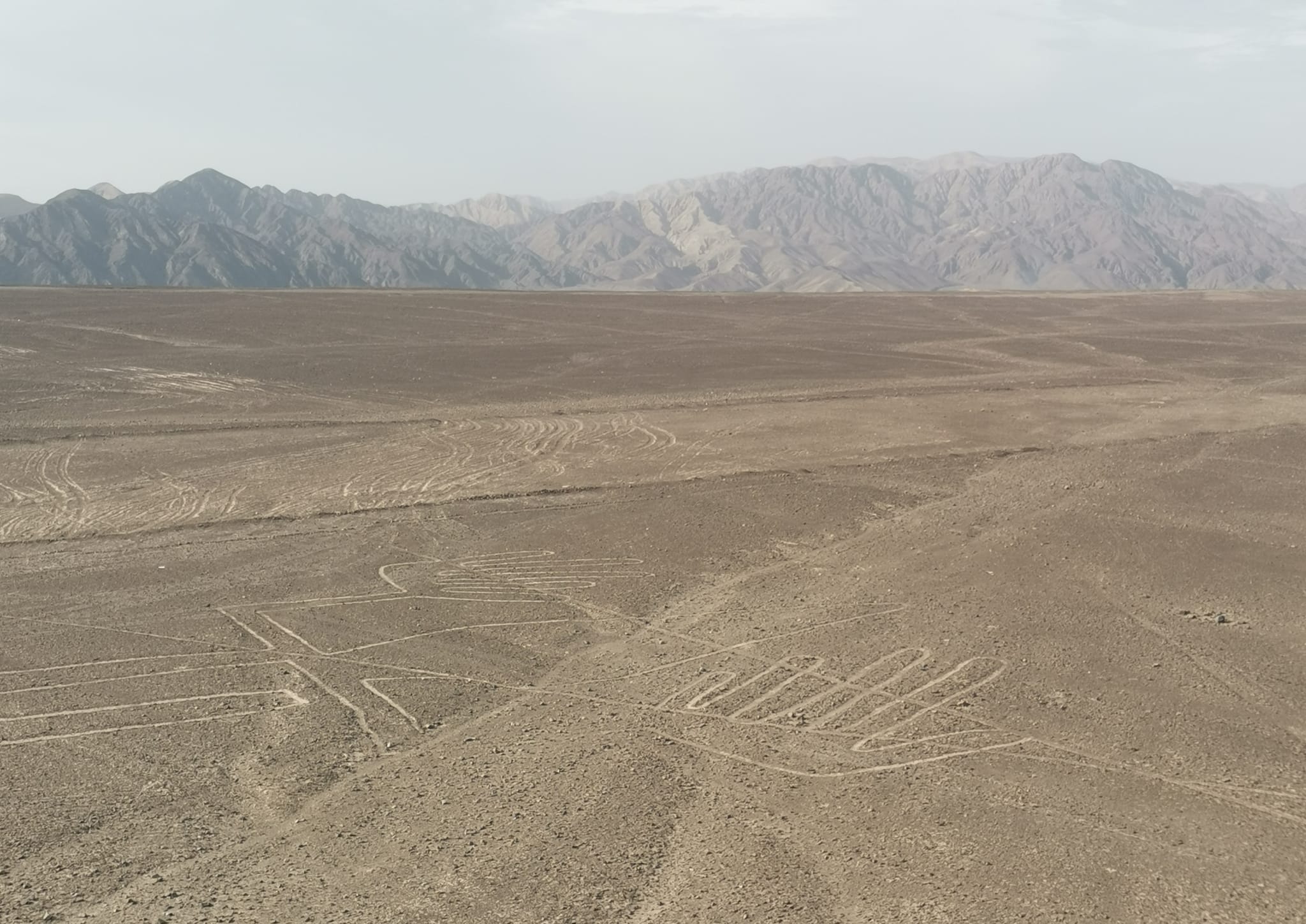 Nasca line lizard geoglyph